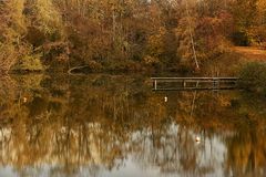 Herbst am Schwedlersee