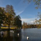 Herbst am see