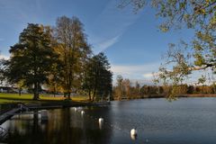 Herbst am see