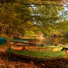 Herbst am See