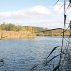 Herbst am See