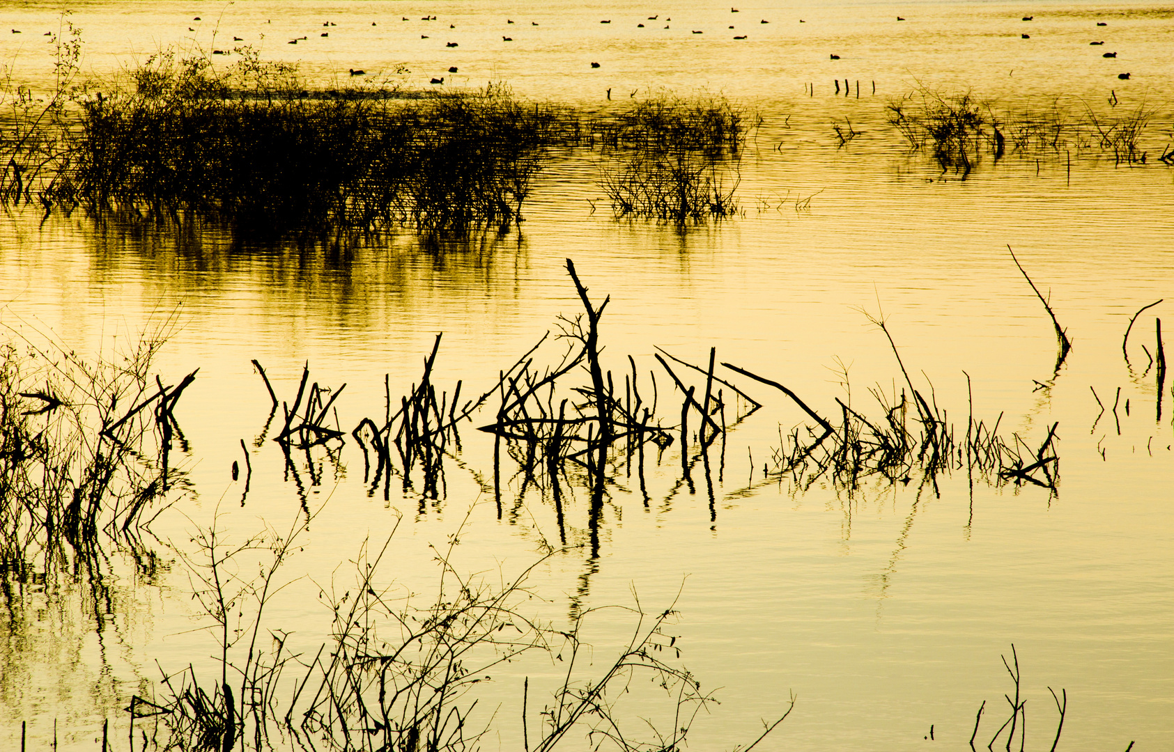 Herbst am See