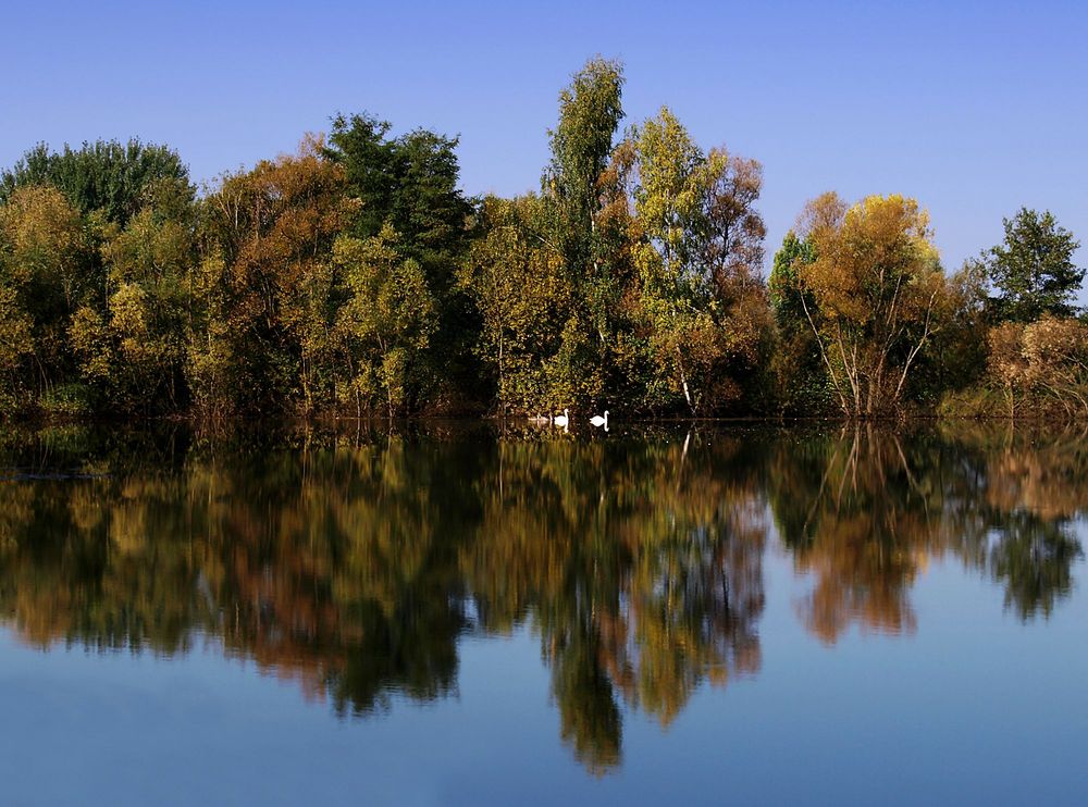 Herbst am See