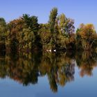 Herbst am See