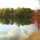 Herbst am See 1