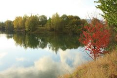 Herbst am See 1