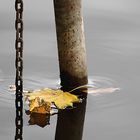 Herbst am See # 1