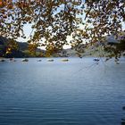 Herbst am See 1