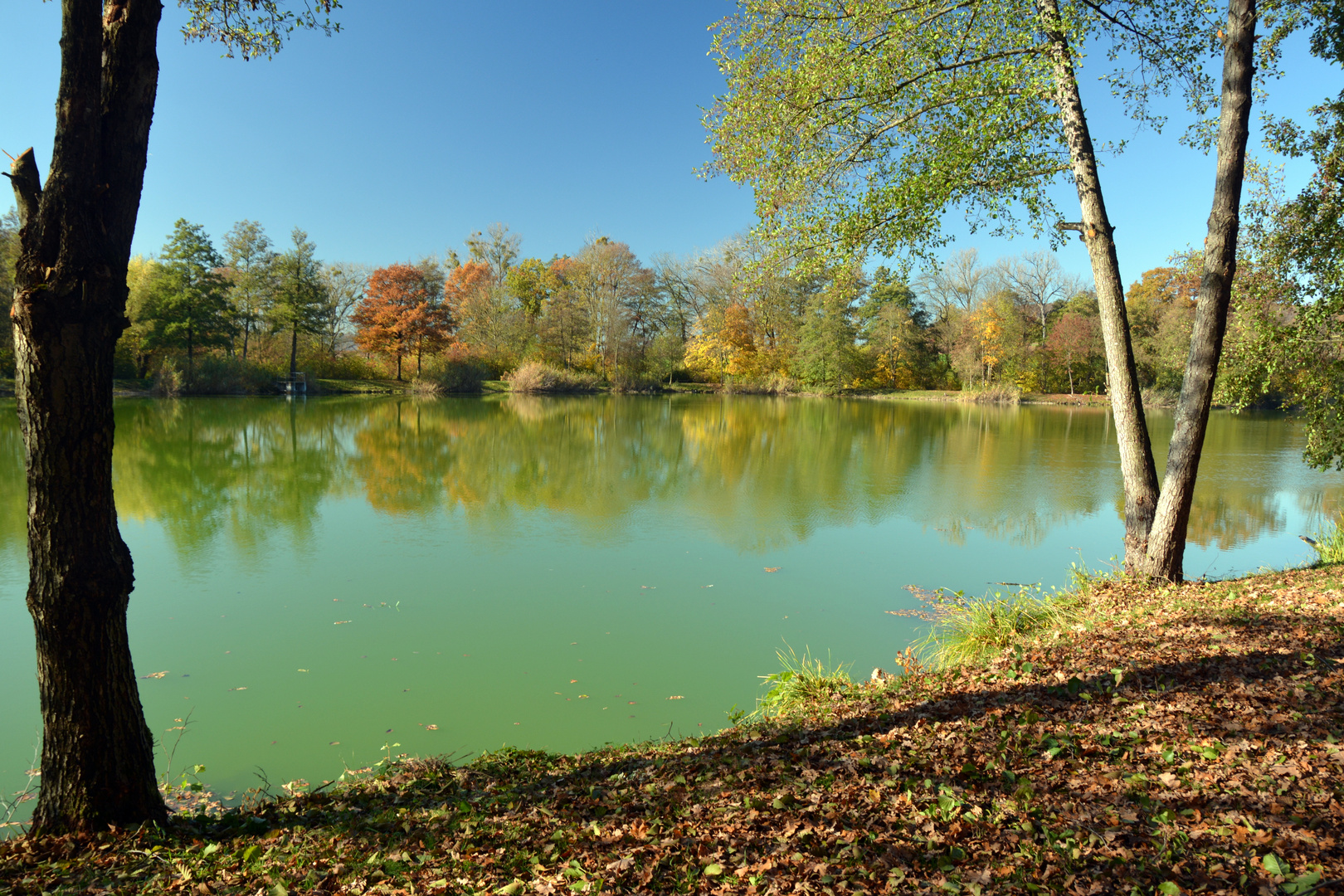 Herbst am See 1 Foto Bild landschaft bach fluss Herbst am See 1 Foto Bild landschaft bach fluss