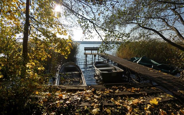 Herbst am See