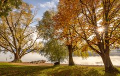 Herbst am See