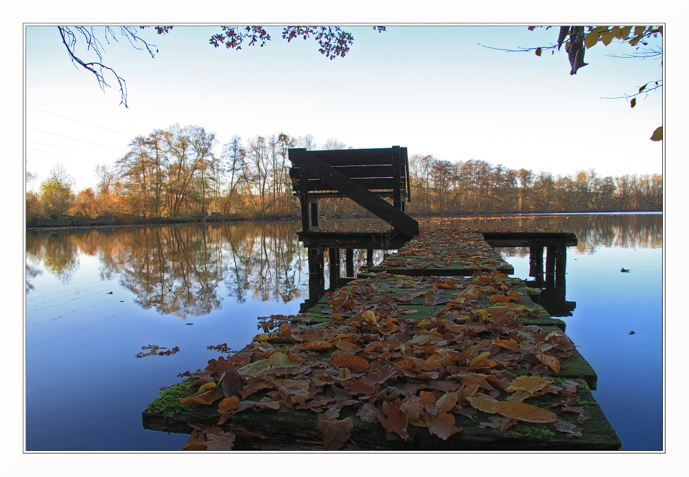 Herbst am See