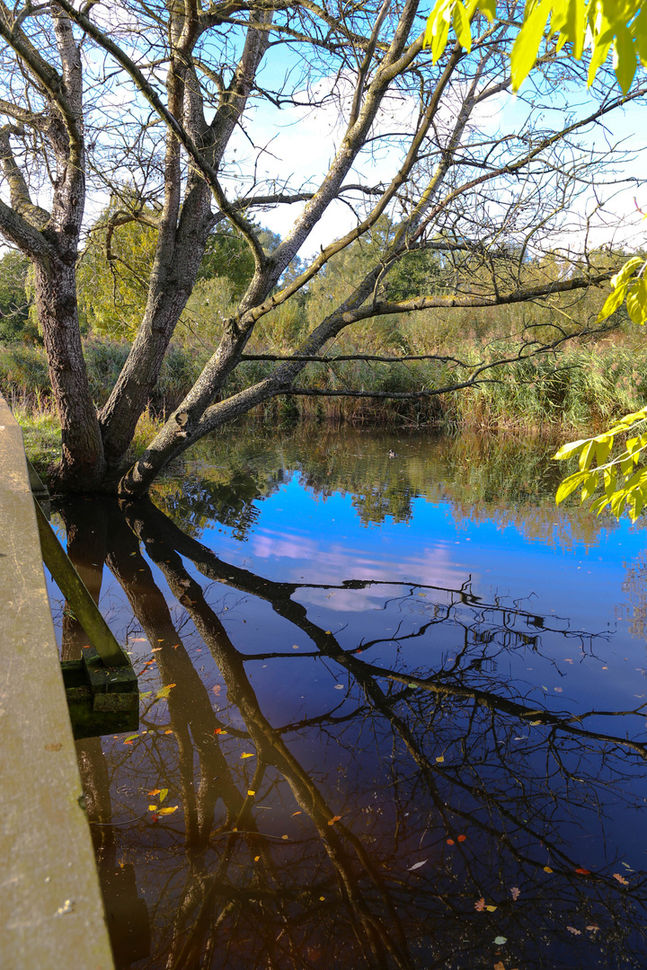 Herbst am See