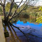 Herbst am See