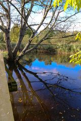 Herbst am See