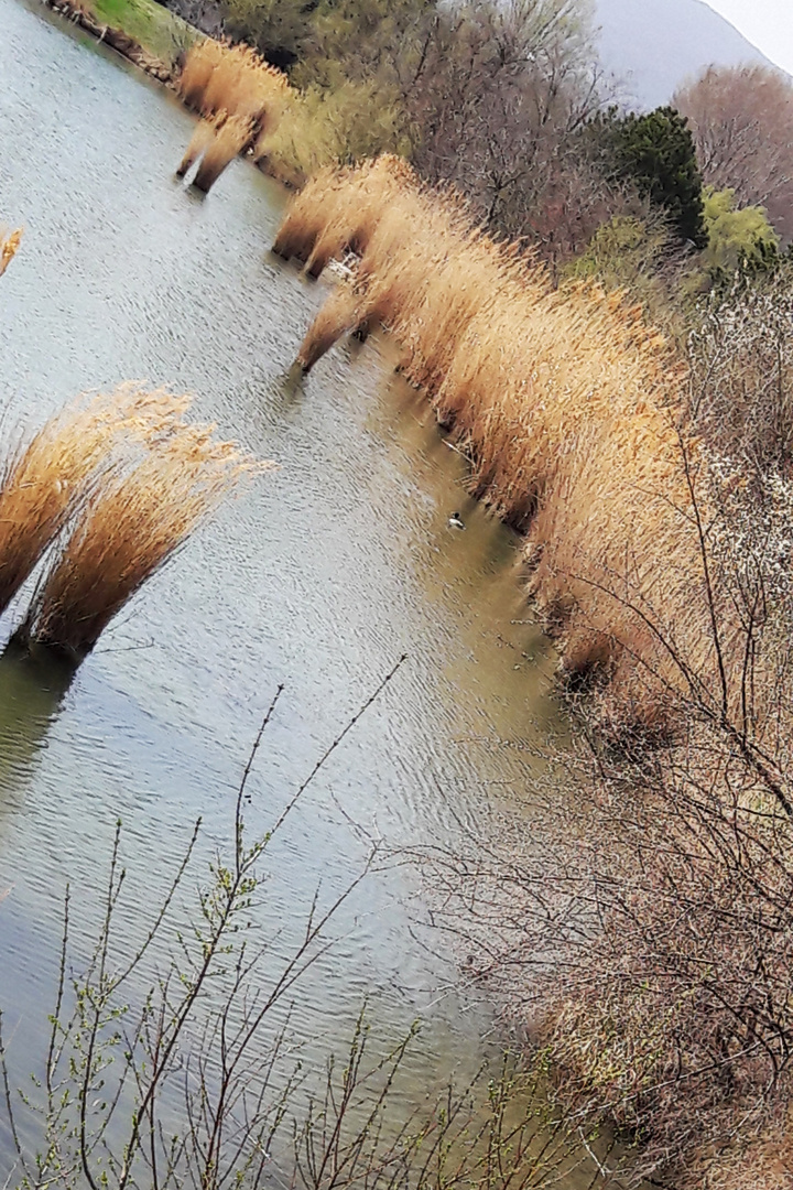 Herbst am See