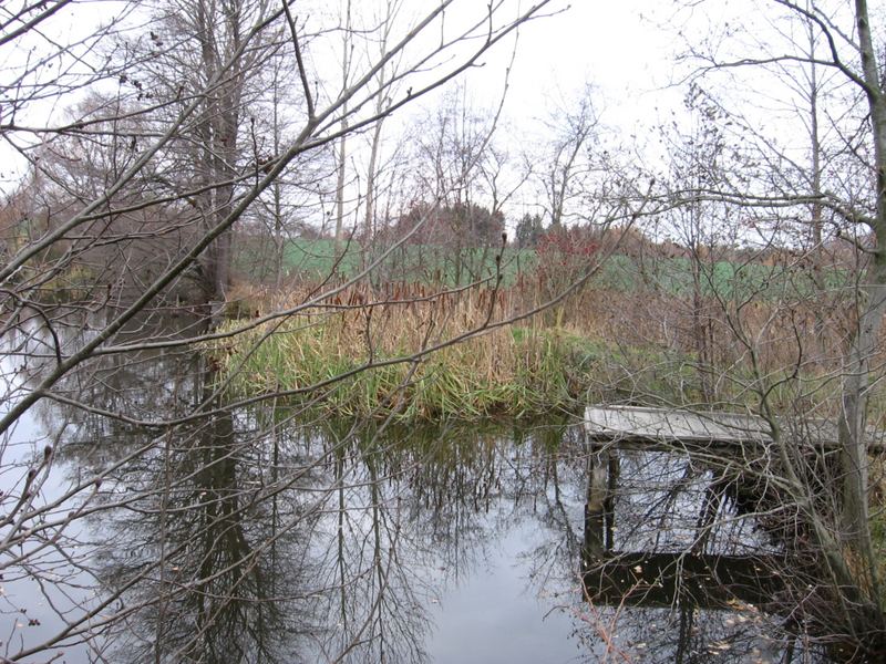 Herbst am See 2