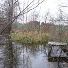 Herbst am See 2