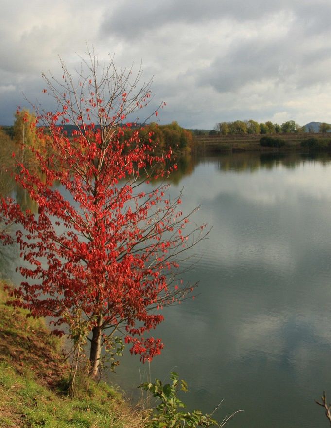 Herbst am See 2