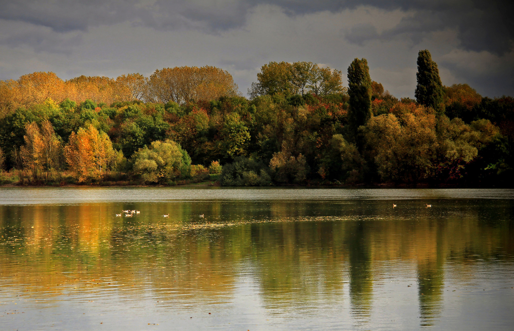 Herbst am See (2)