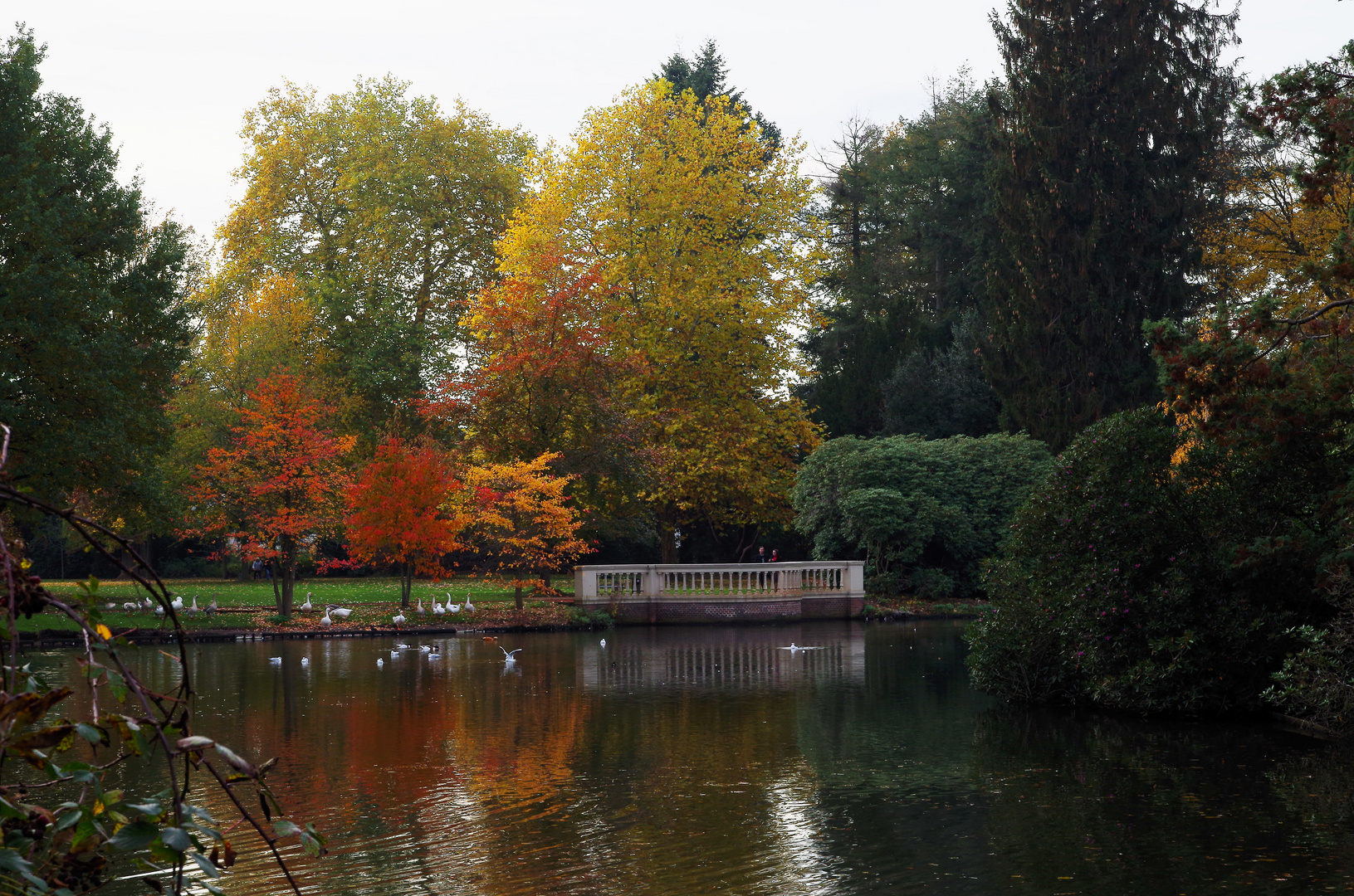 Herbst am See (2)