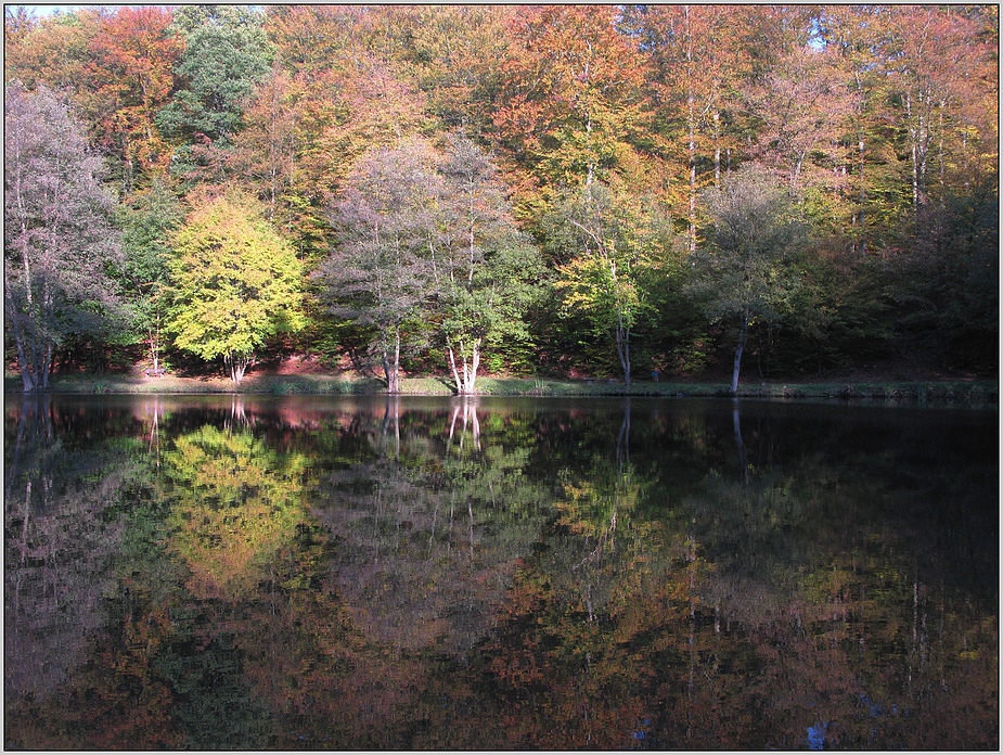 Herbst am See