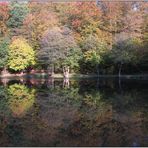 Herbst am See