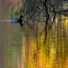 Herbst am See