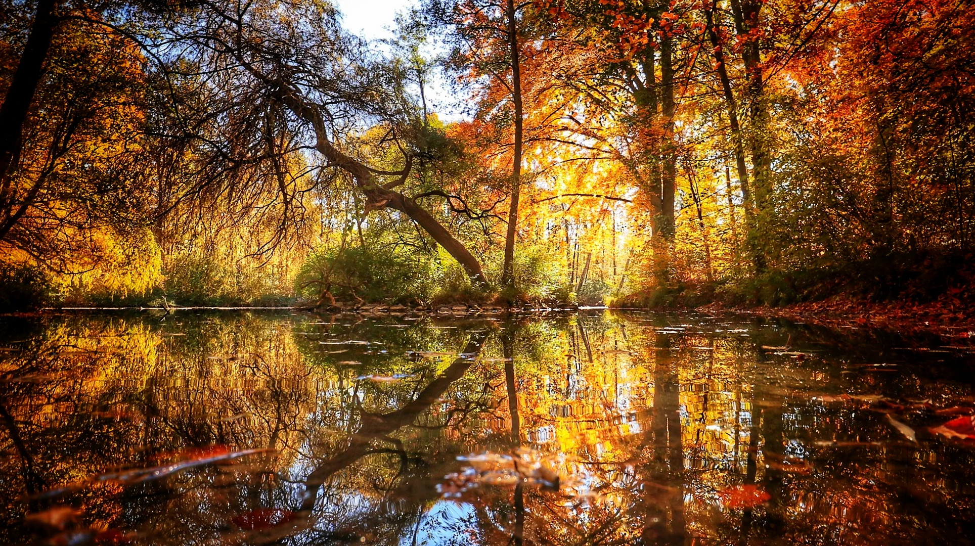 Herbst am see