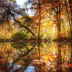 Herbst am see