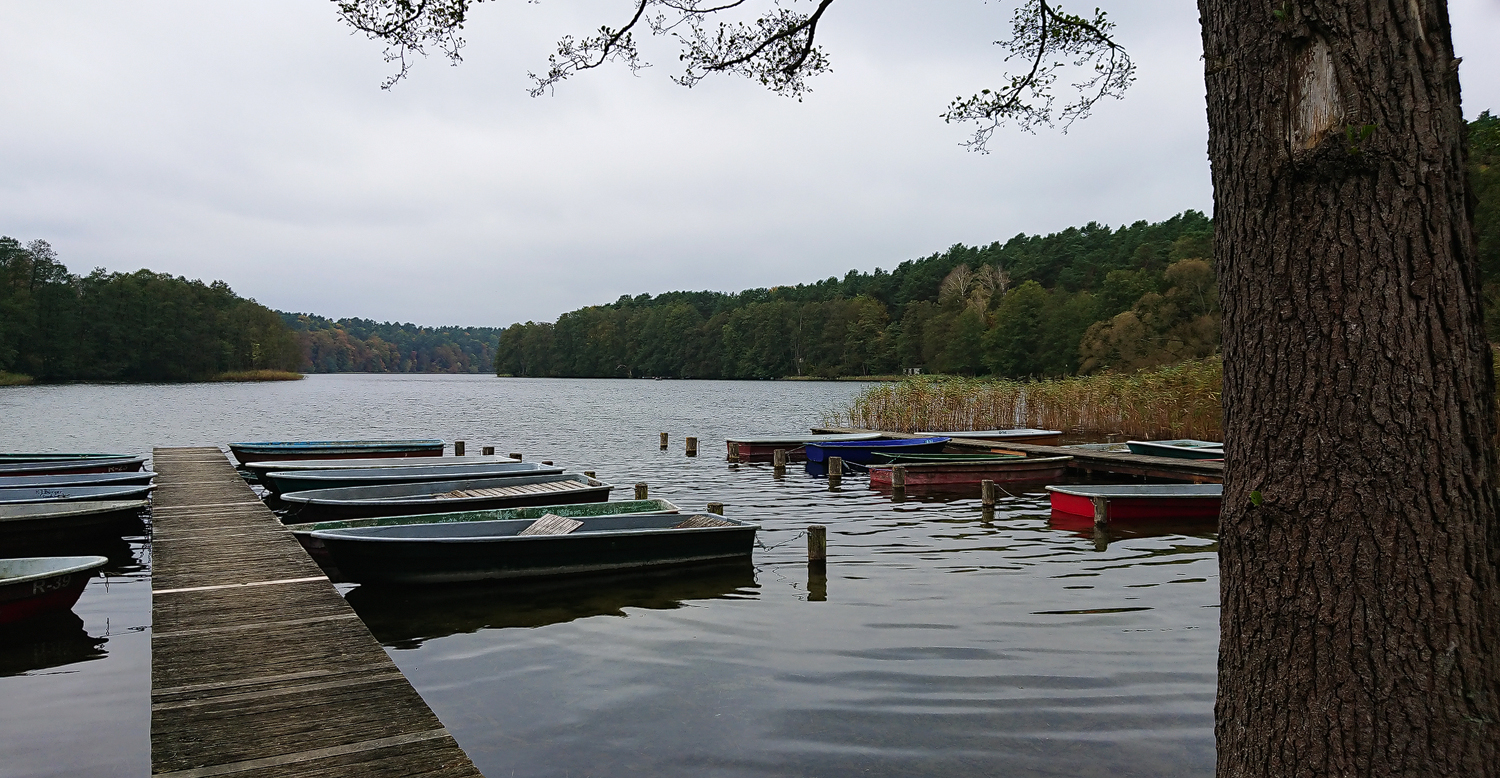 Herbst am See