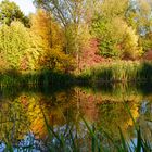 Herbst am See.