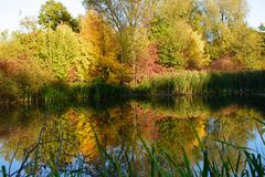 Herbst am See.