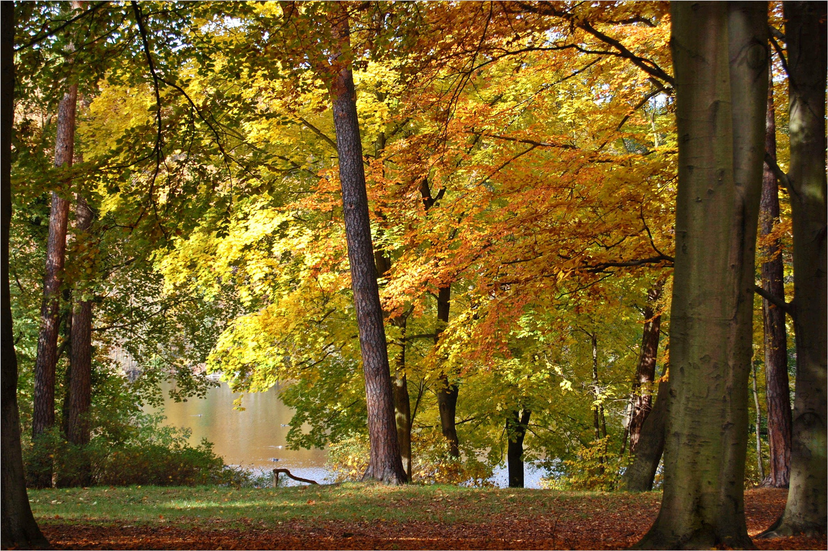 Herbst am See