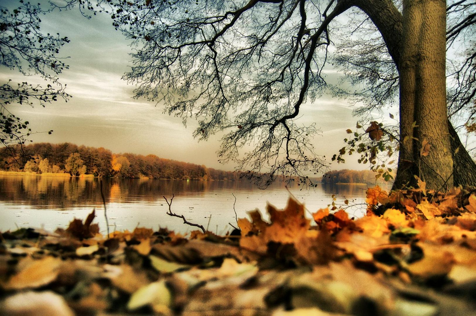 Herbst am See