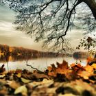 Herbst am See