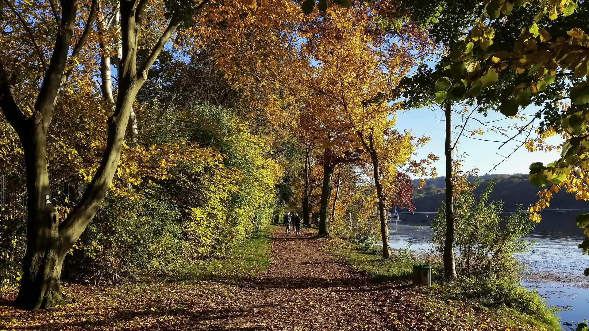 Herbst am See