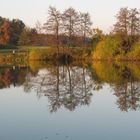 Herbst am See