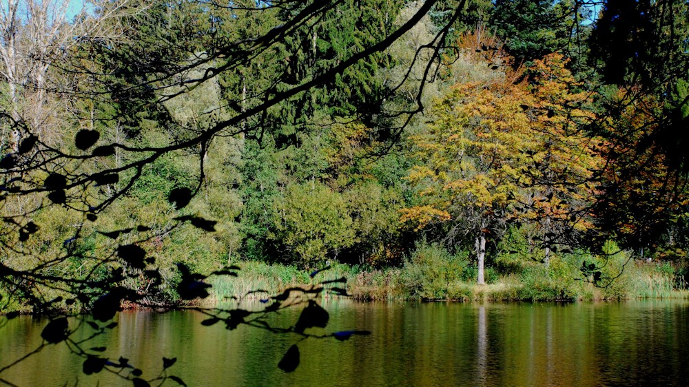 Herbst am See