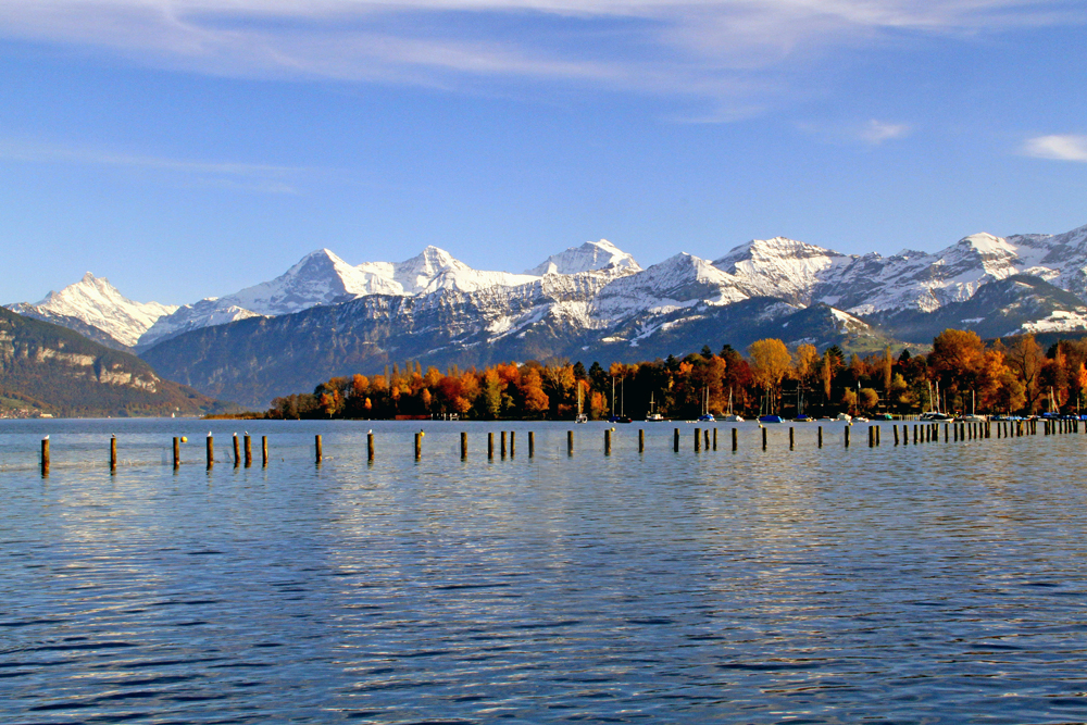 HERBST am See Foto & Bild | europe, schweiz & liechtenstein, kt. bern