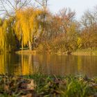 Herbst am See