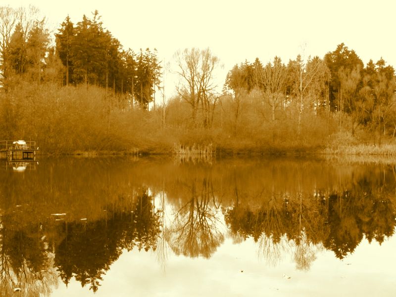 Herbst am See 3