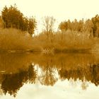 Herbst am See 3