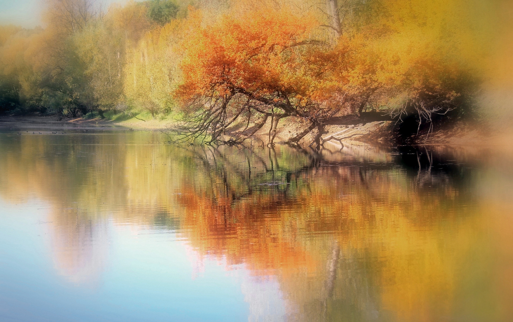 Herbst am See (3)