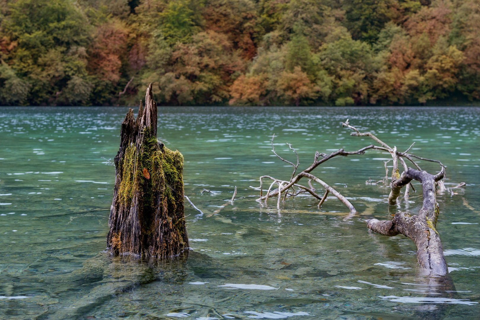 Herbst am see