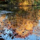 Herbst am See