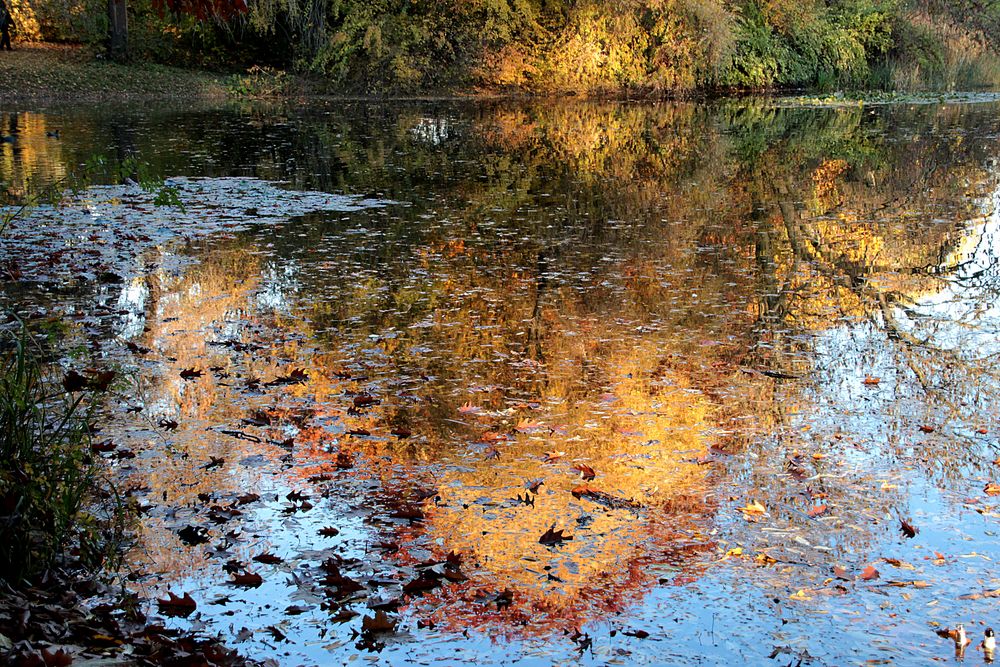 Herbst am See