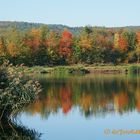 Herbst am See