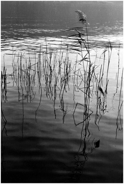 herbst am see