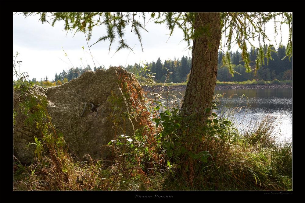 Herbst am See